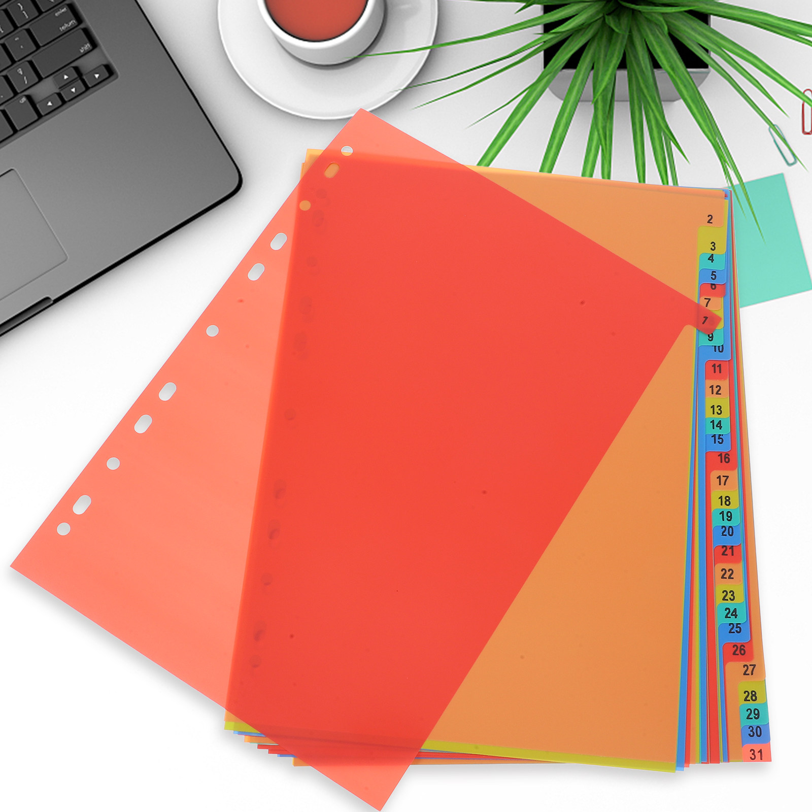 1 takım gevşek yapraklı indeks - Tab Divider A4 incelemesi ve fiyatı