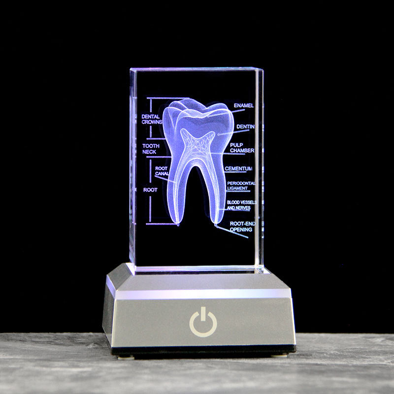 Diş 3D Lazer Kazınmış İnsan İs - Paper Weight Crystal incelemesi ve fiyatı